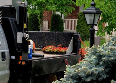 Potted plants on yard of house