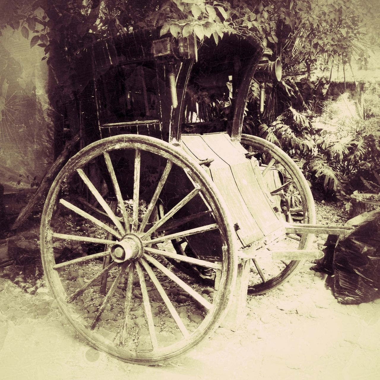 transportation, land vehicle, mode of transport, wheel, bicycle, stationary, abandoned, parking, old, parked, obsolete, built structure, damaged, architecture, tree, car, street, wall - building feature, day, run-down