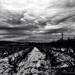 Scenic view of landscape against cloudy sky