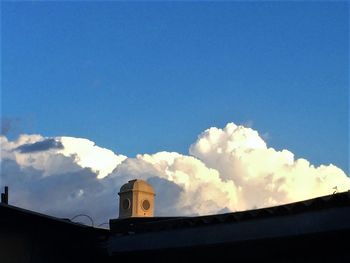 Flowers against sky