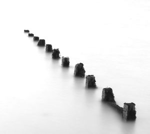 Row of trees against clear sky