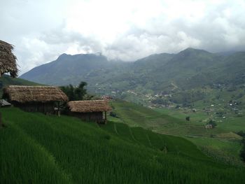 Scenic view of agricultural field and mountains against sky