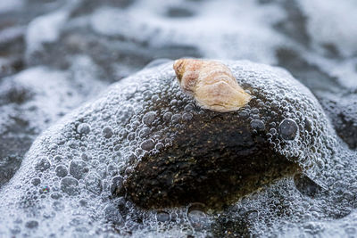 Close-up of ice