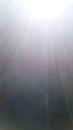 sunlight