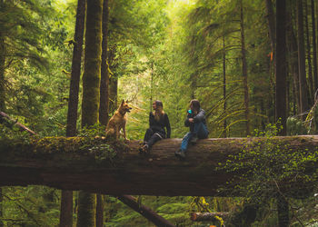 Women with dog sitting on tree trunk in forest