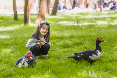 Girl looking at animals crouching on field