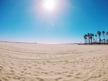 Scenic view of sandy beach