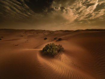 Scenic view of desert against sky during sunset