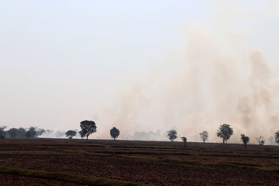 Panoramic shot of agricultural field against sky