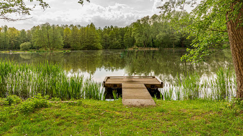 Scenic view of a lake by trees with a fishing platform in the middle of the forest