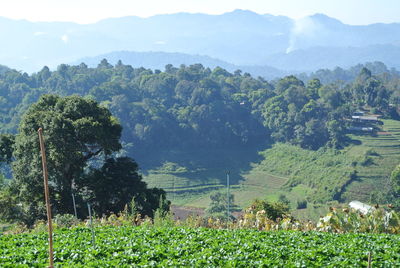 Scenic view of field against mountains