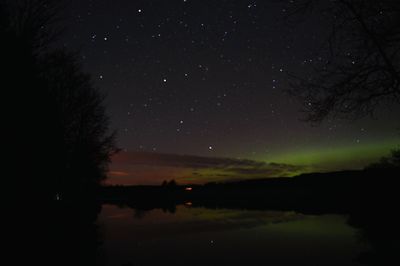 Reflection of trees in water at night