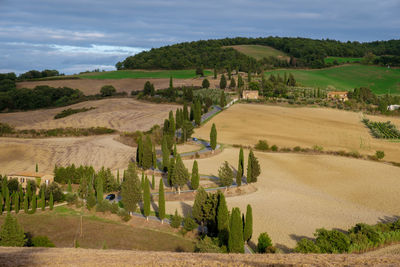 Scenic view of agricultural field against sky