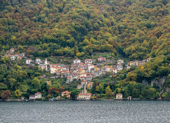 Buildings by river