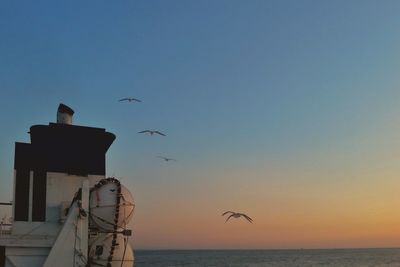 Seagull flying over sea against sky during sunset