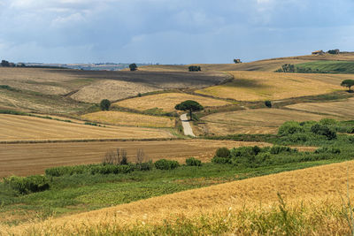 Scenic view of field against sky