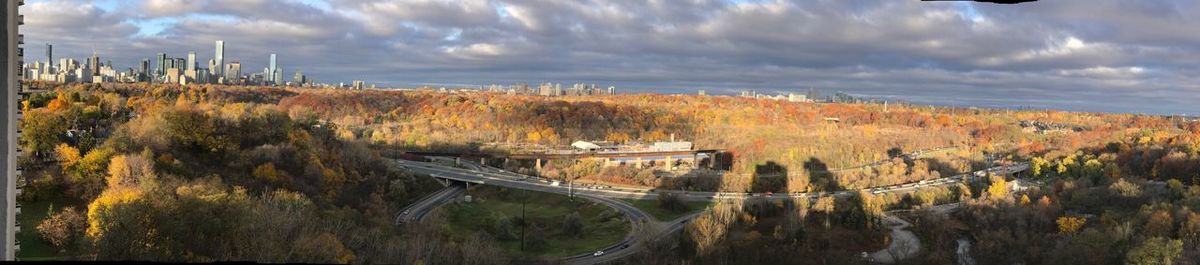 Panoramic view of trees against sky