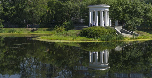 Reflection of trees in water