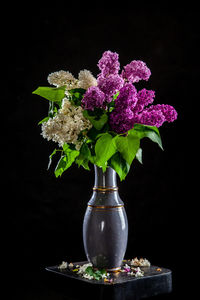 Close-up of purple flowers in vase