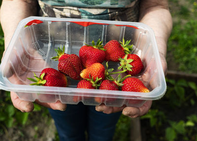 Female hands hold strawberries in used plastic packaging from a supermarket.