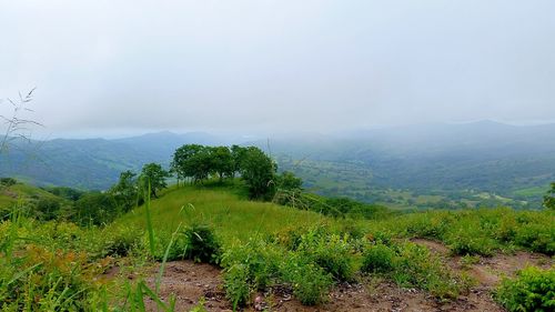 Landscape with mountain range in background