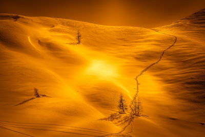 Aerial view of desert