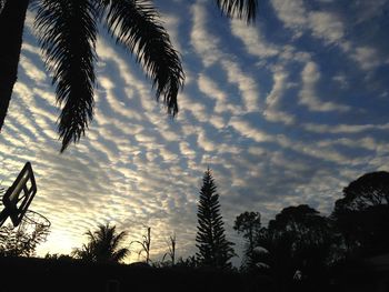 Palm trees on landscape against cloudy sky