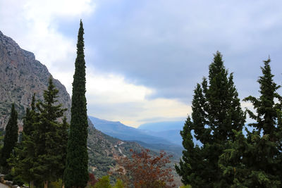 View of trees on landscape against cloudy sky