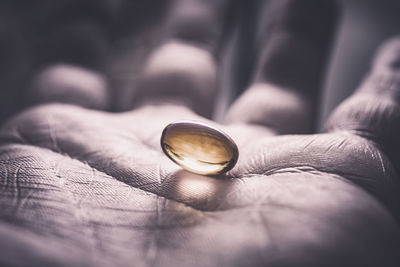 Close-up of hand holding leaf