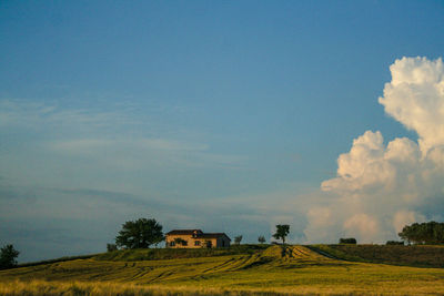 Scenic view of agricultural field against sky