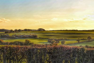 Scenic view of field against sky during sunset