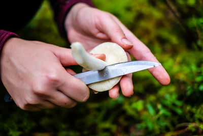 Close-up of person holding ice cream