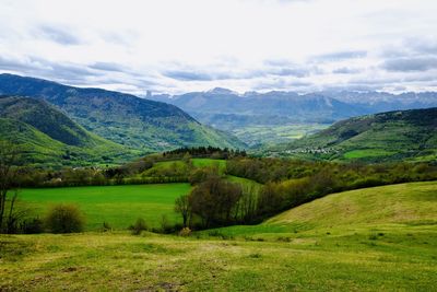 environment