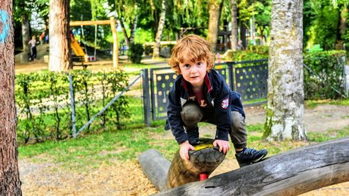 Portrait of a smiling young boy climbing toy