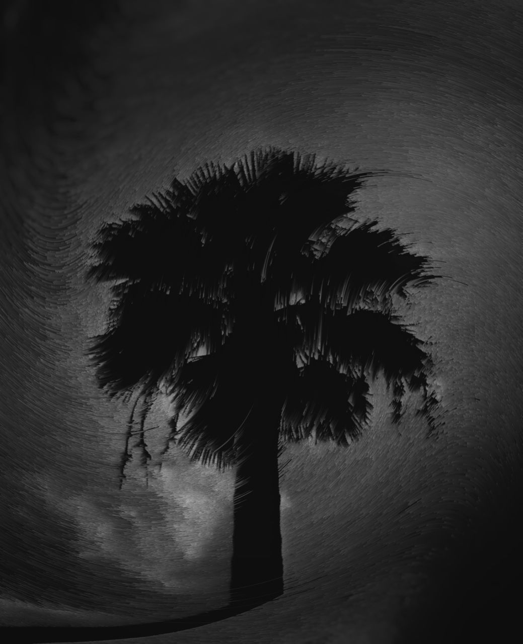 SILHOUETTE OF PALM TREE AGAINST SKY