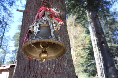 Low angle view of bell hanging on tree