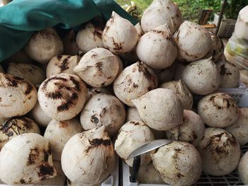 High angle view of mushrooms for sale at market
