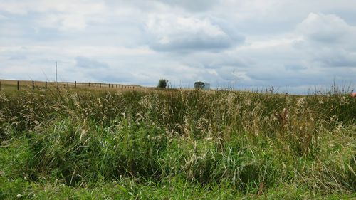 Scenic view of field against sky