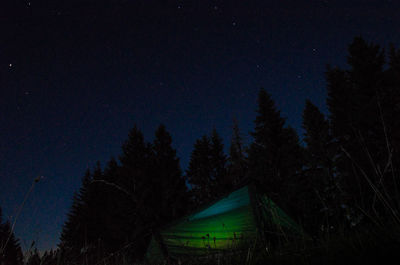 Silhouette trees against sky at night