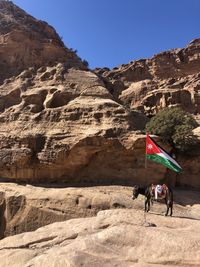 Donkey with jordanian flag in stone city petra