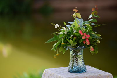 Close-up of small plant in vase