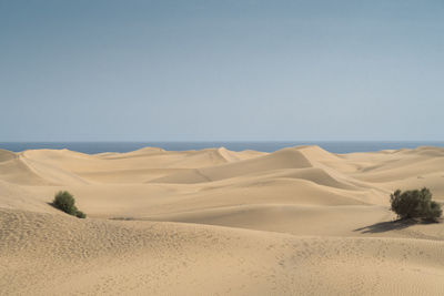 Scenic view of desert against clear sky