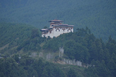 Built structure by trees on mountain in forest