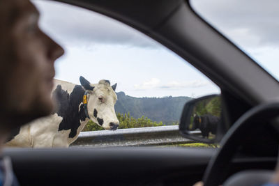 Close-up of man sitting in car