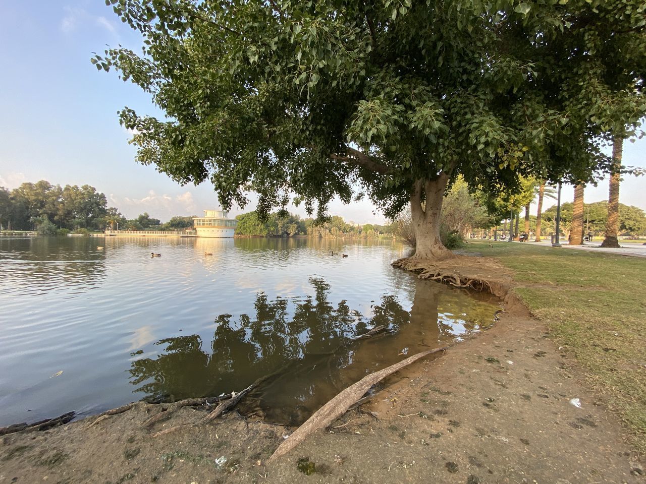 SCENIC VIEW OF LAKE AGAINST TREES