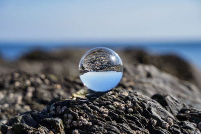 Close-up of pebbles on rock