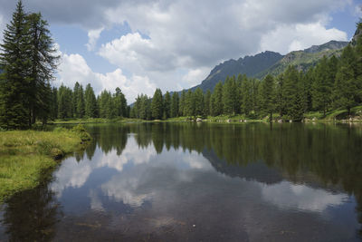 Scenic view of lake by trees against sky