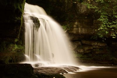 Scenic view of waterfall in forest