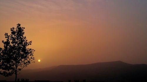 Silhouette tree against orange sky