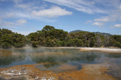 Reflection of trees in lake